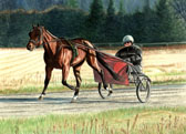 Standardbred, Equine Art - Early Winter Workout